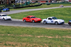 IMG_0222 - Copy