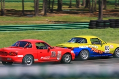 IMG_0269 - Copy